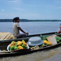 Kolumbien: Der Retter des Amazonas